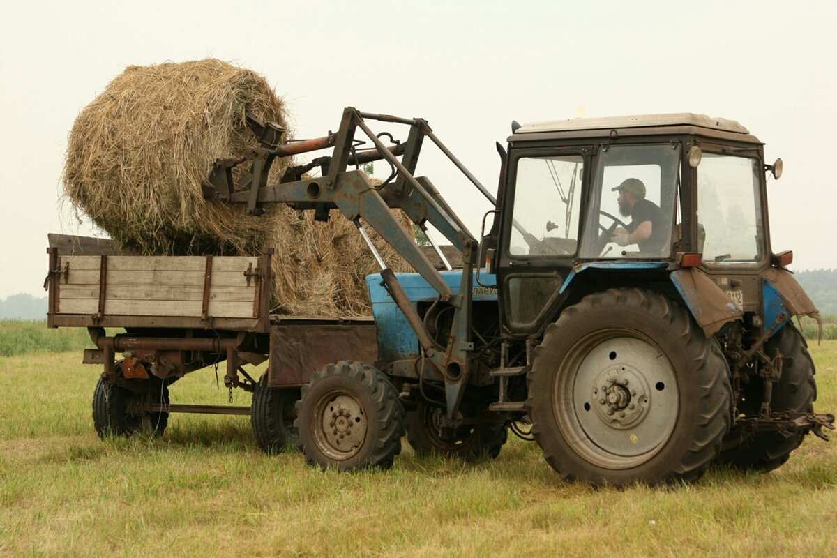 Заготавливаю сено на зиму.