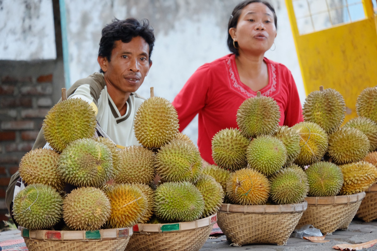 Выращиваем экзотические фрукты. Дуриан. Дуриан фрукт. Таиландский фрукт дуриан. Сингапур фрукт дуриан.