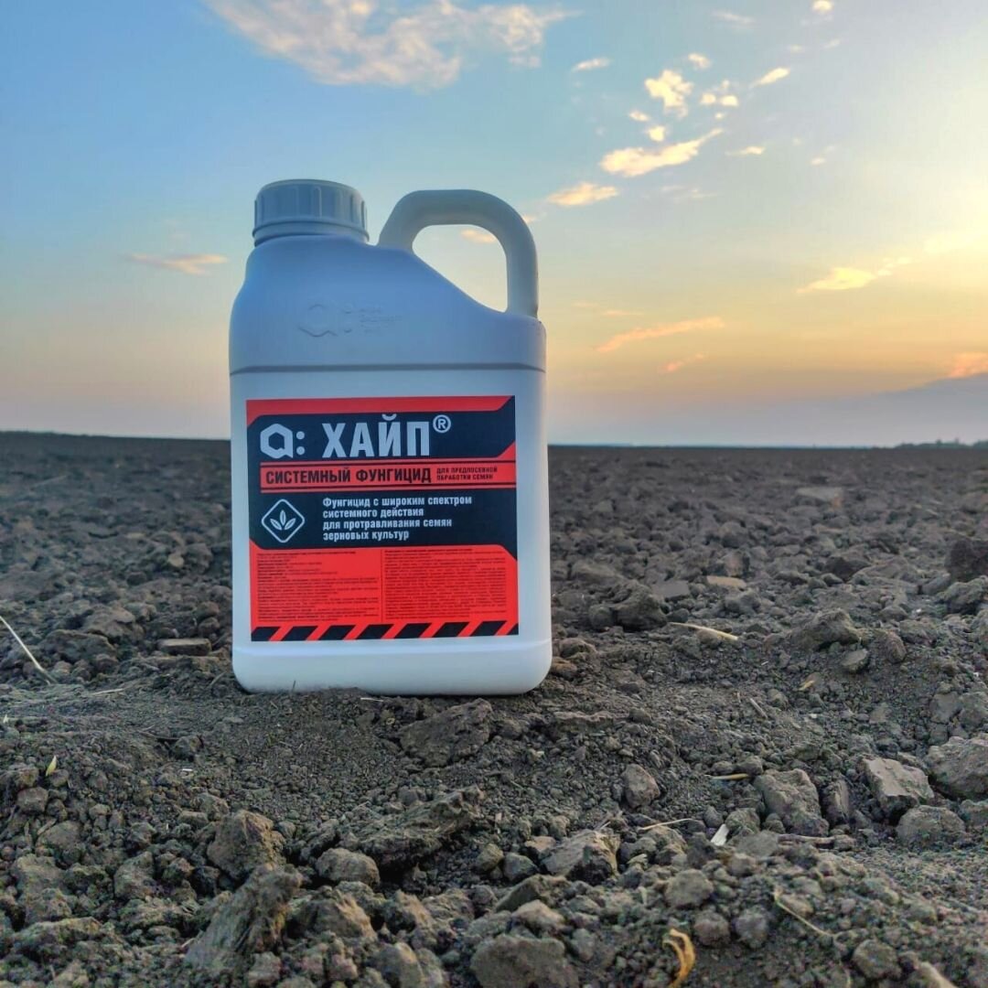 Как часто вы задумывались над тем, правильный выбор вы делаете или нет?