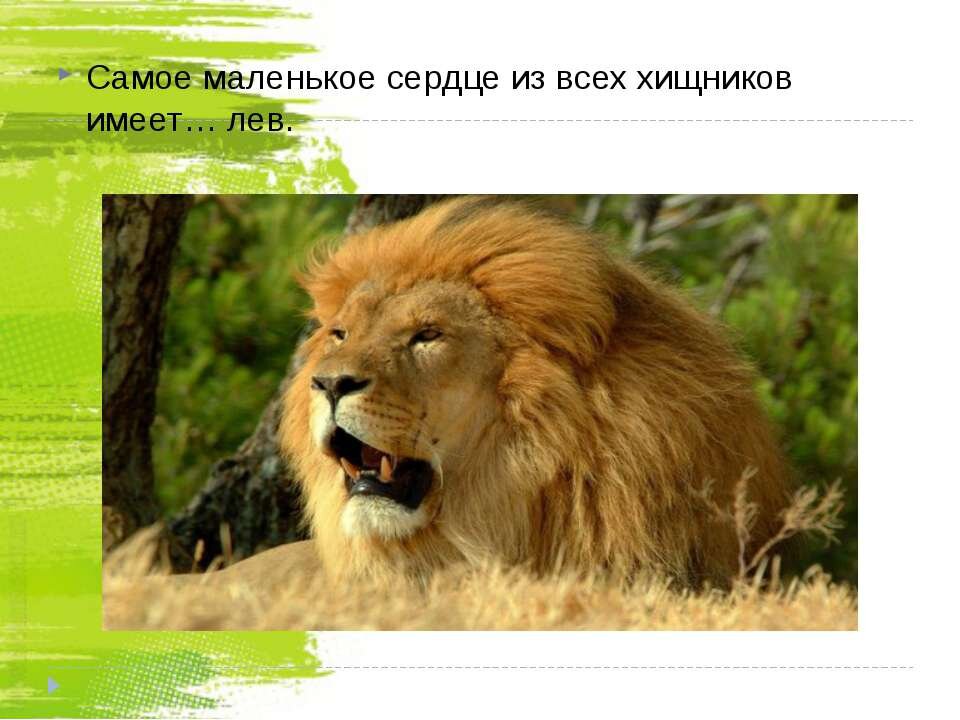 Царь зверей