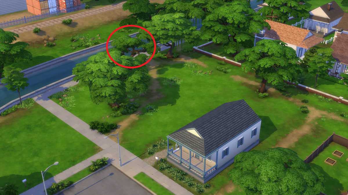 Местоположение дерева Силван