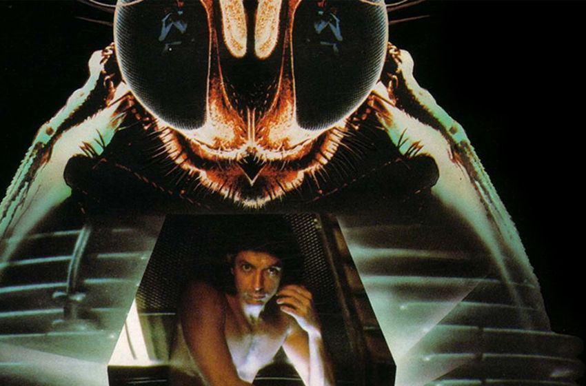 The fly