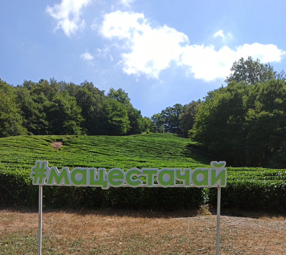 Мацеста