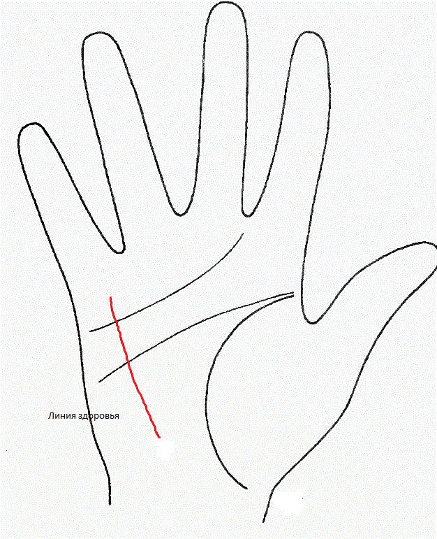 Линия здоровья