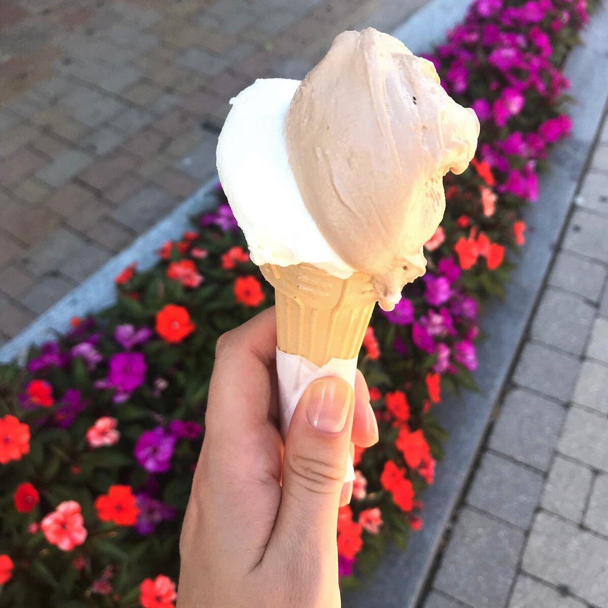 Мороженое из Lindt. Фотография из личного архива.