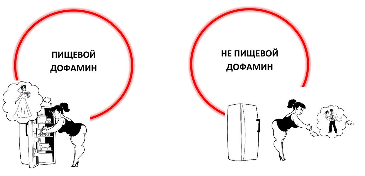 Дофамин движущая сила поведения человека проект Худеем на дофамине. Практика недели Худеем с психотерапевтом. Доктор Кондрашов Д