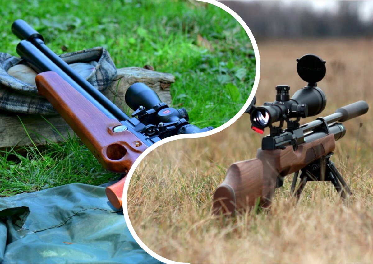 Как выбрать пневматику для охоты | AIR-GUN.RU | Дзен