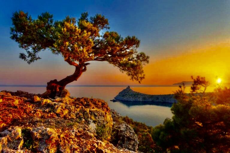 Фото редактор 