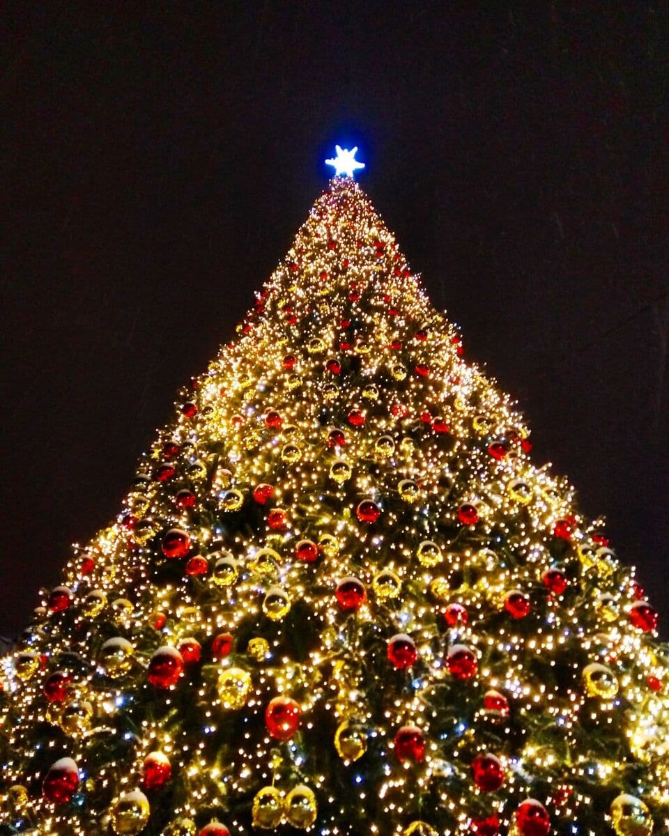 Центральная елка города Нижнего Новгорода