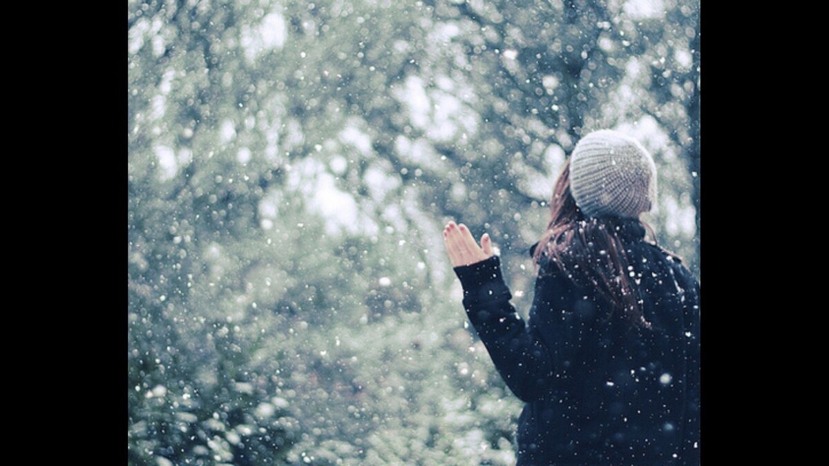 Фото из открытого источника в интернете