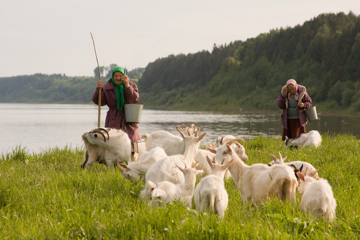 Из интернета