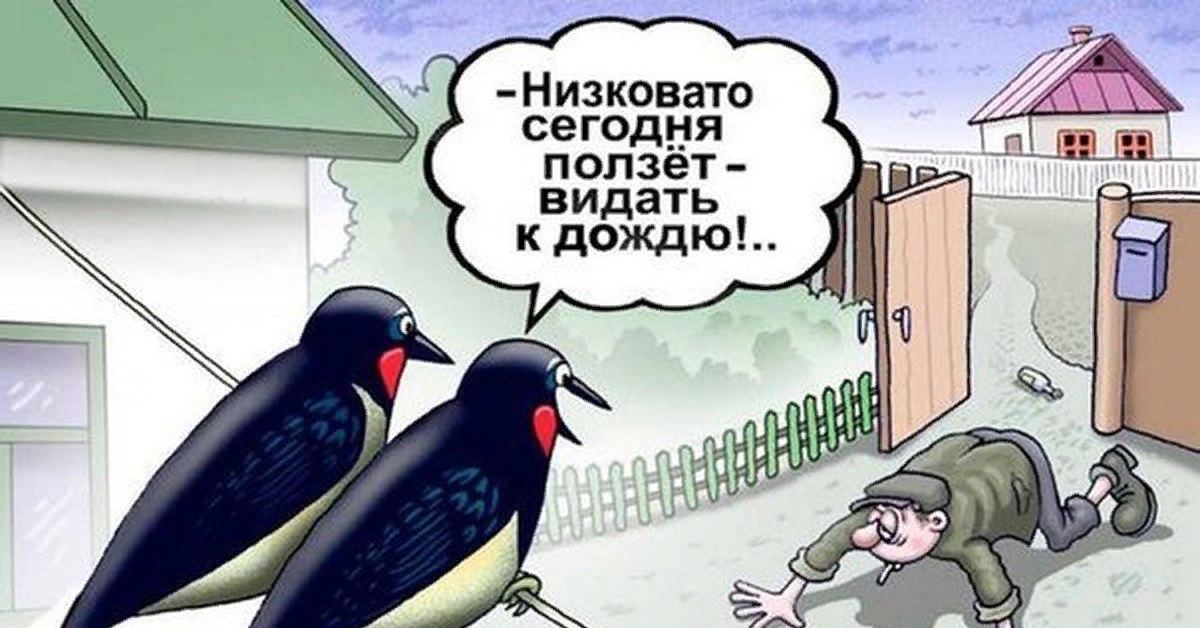 картинка и информация из открытого источника