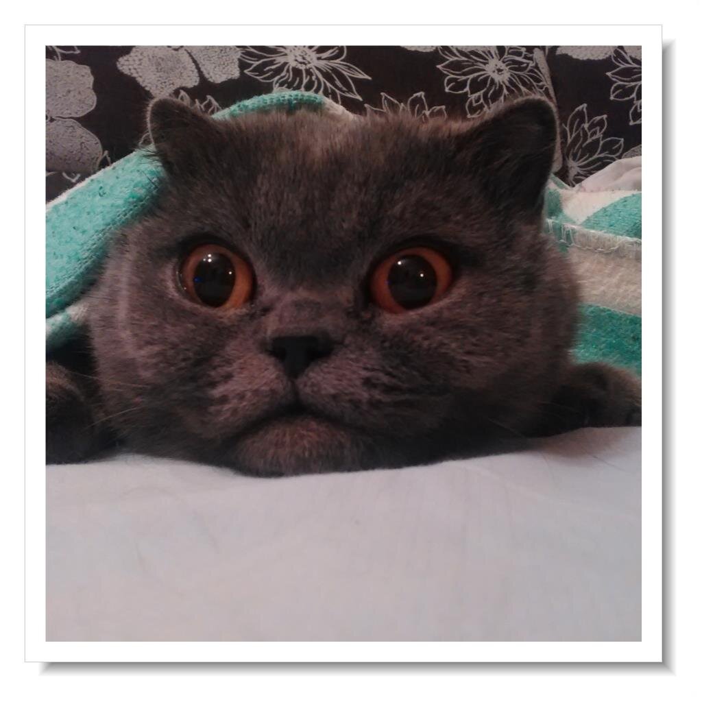 Отдыхать - не работать...