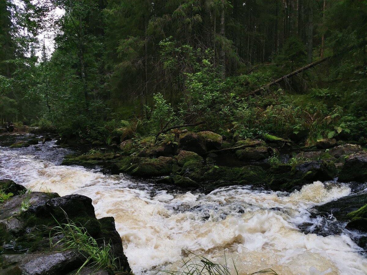 (Фото: Григорий Василенко)