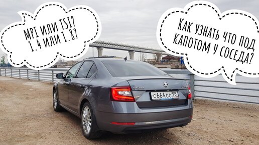 Что под капотом у соседа на SKODA OCTAVIA или RAPID