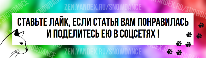 ХОДИТЬ НА ЗАДНИХ ЛАПАХ - это... Значение слова ХОДИТЬ НА ЗАДНИХ ЛАПАХ