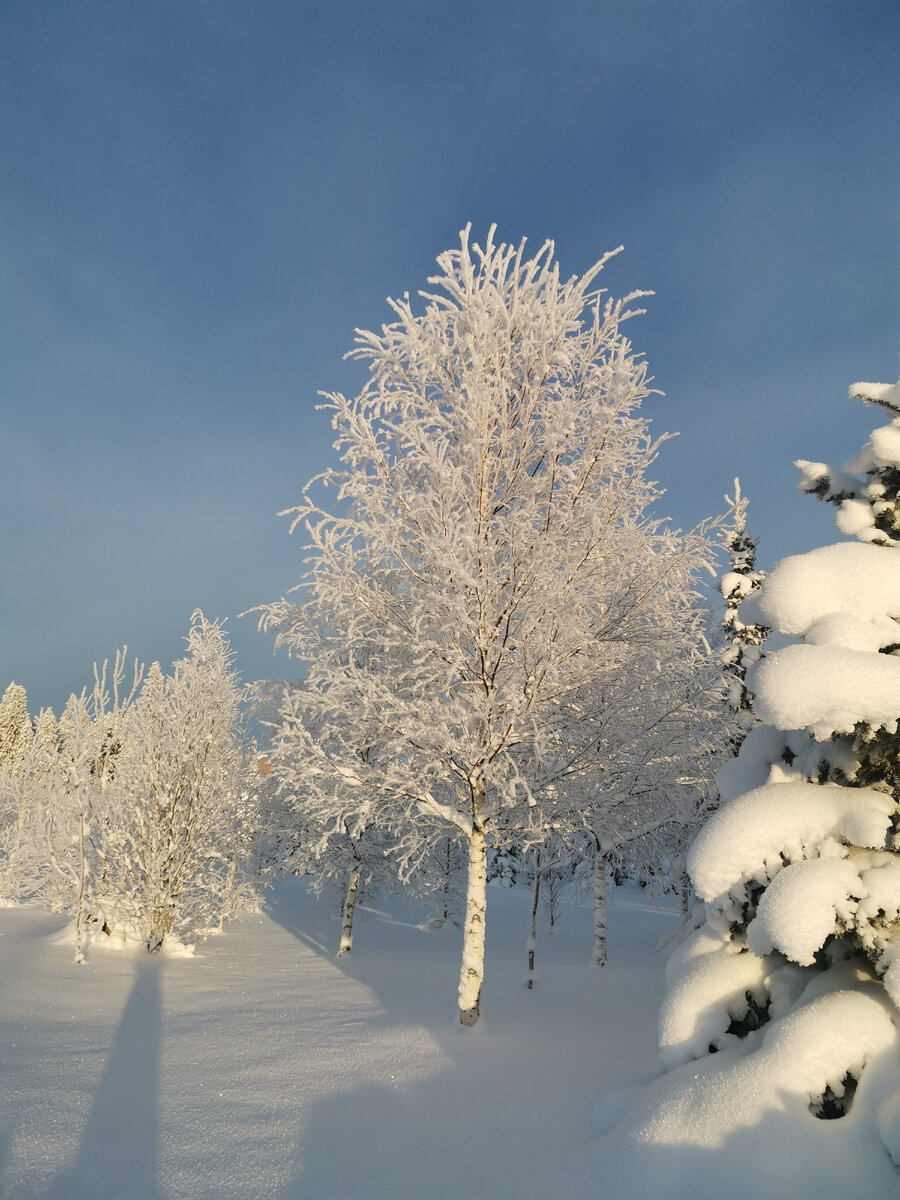 Зима (фото автора)