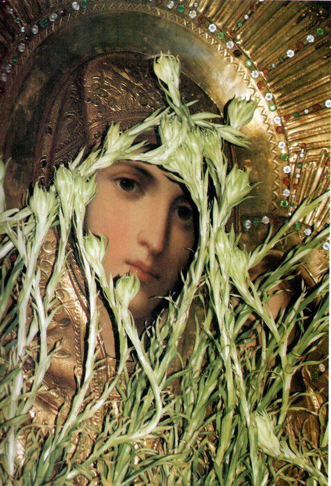 Источник фото: https://vk.com/public54392722