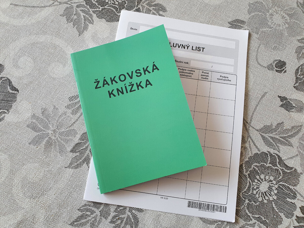 Стандартный дневник и лист для пометок о причинах пропуска уроков 