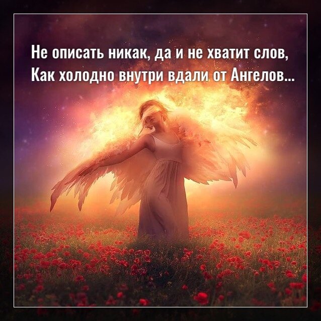 Фото с просторов интернета