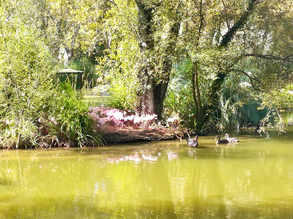Parque D. Carlos I