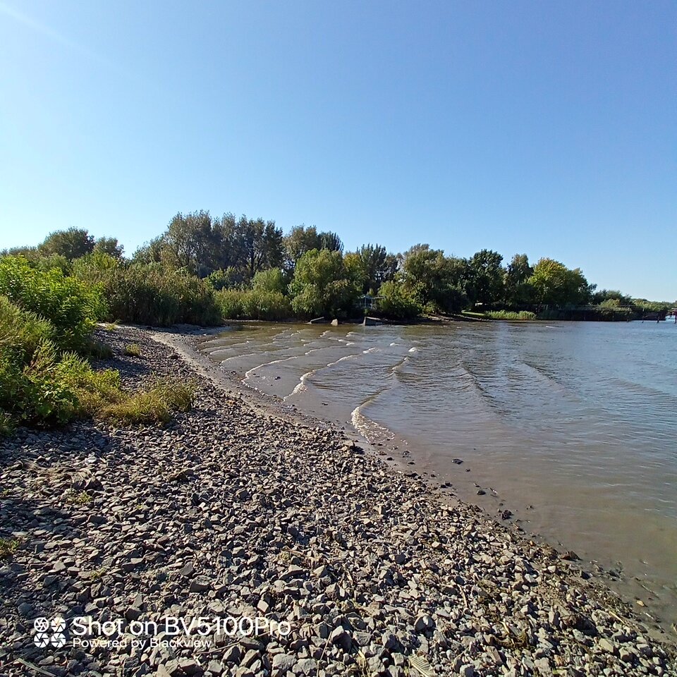 Грустное событие ждет нас. Фото автора