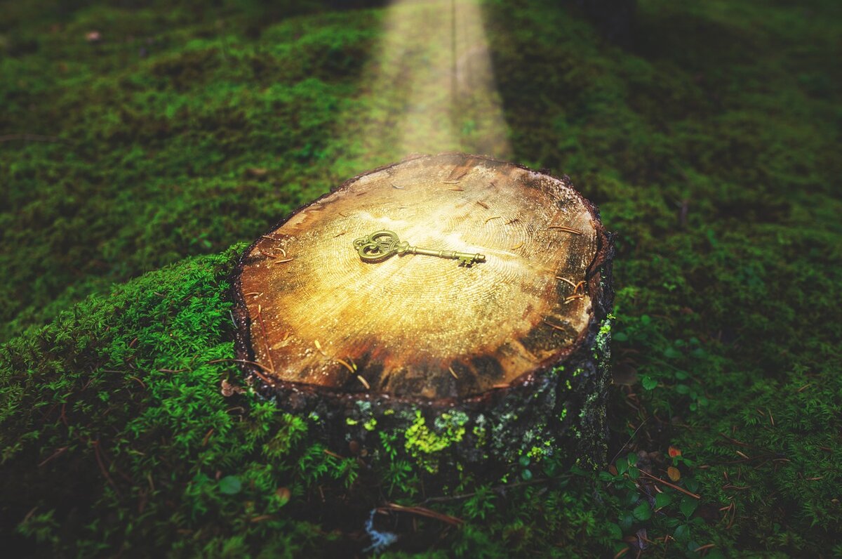 фото с сайта pixabay.сom