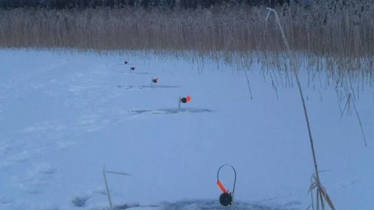 типичное место для поиска для ловли щуки на жерлицы