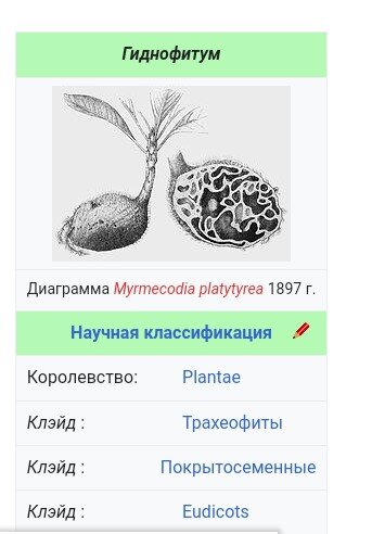 Скрин из Вики