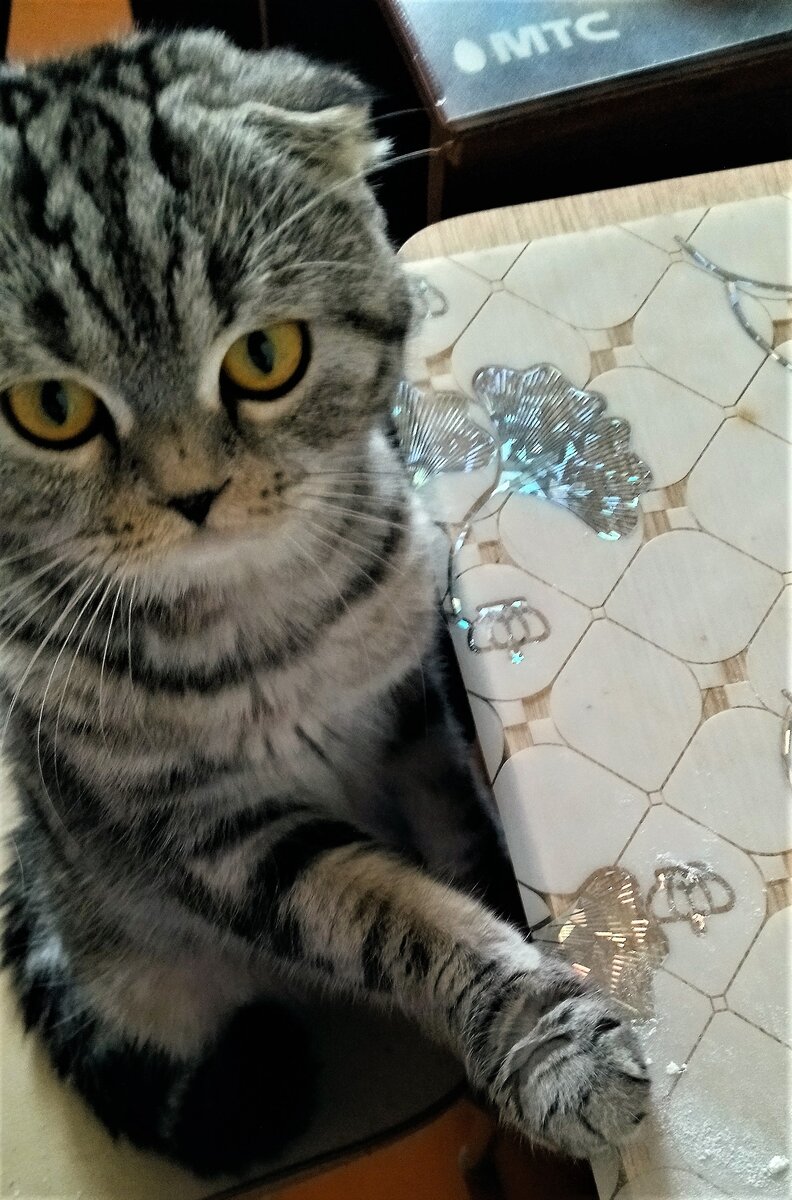 Фото автора