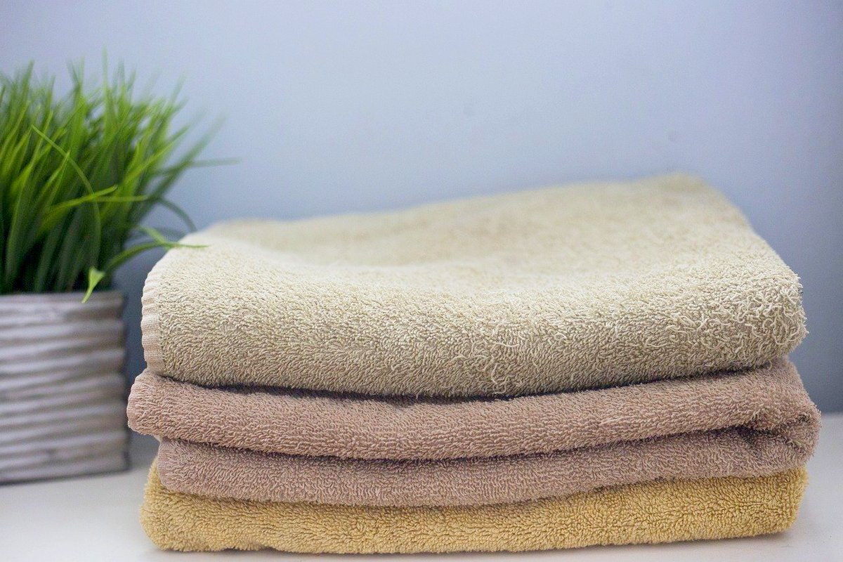 Фото: pixabay.com