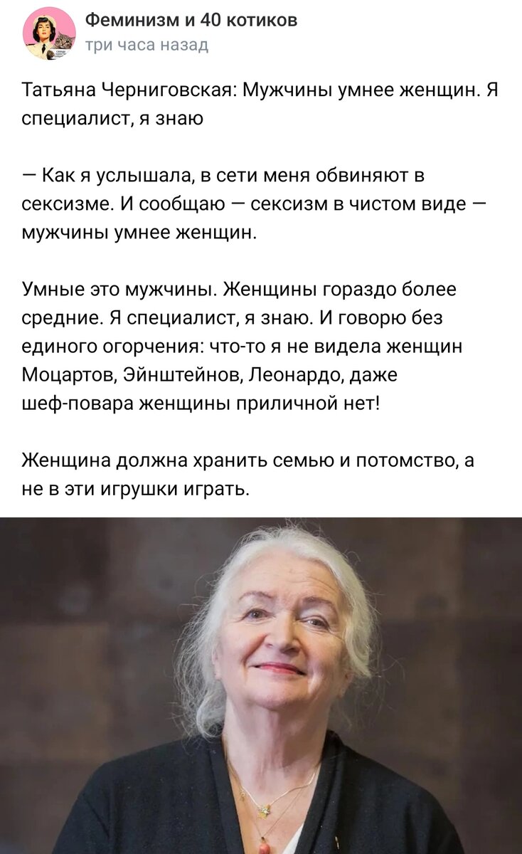 Скриншот из группы "Феминизм и 40 котиков"