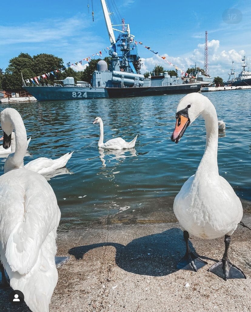 Ох и ошибался тот человек, который это сказал. Именно в Балтийске одни из лучших 🏖пляжей в нашей области. Именно в Балтийске чаще всего можно найти 💎янтарь. Пляжи длинные, пока что только один оборудован. 
⠀ 

