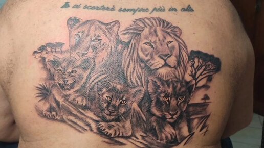 Татуировка лев львица и львенок (77 фото)