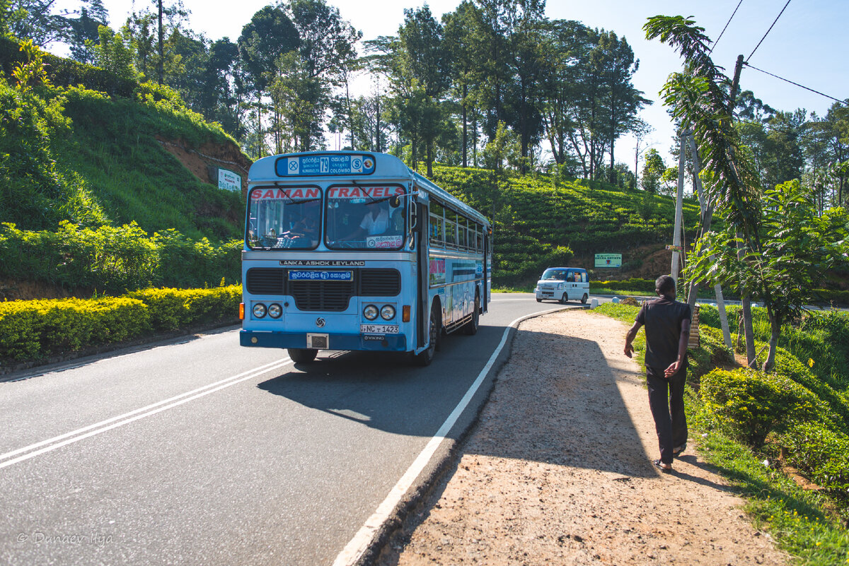 Сумасшедший автобус идёт домой, просто идёт пешком... :)  Автобусы в Шри-Ланке очень колоритны сами по себе, немедленно вспоминаются индийские фильмы.