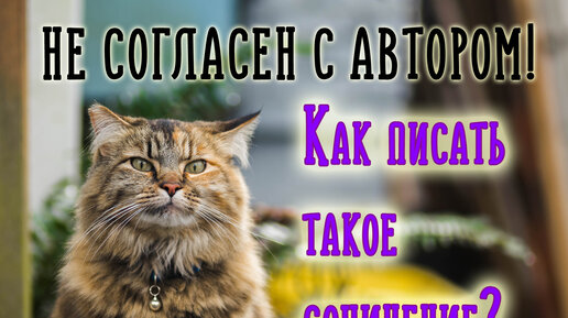 НЕ СОГЛАСЕН С ПОЗИЦИЕЙ АВТОРА - что нужно иметь в виду | ЕГЭ 2022 русский язык