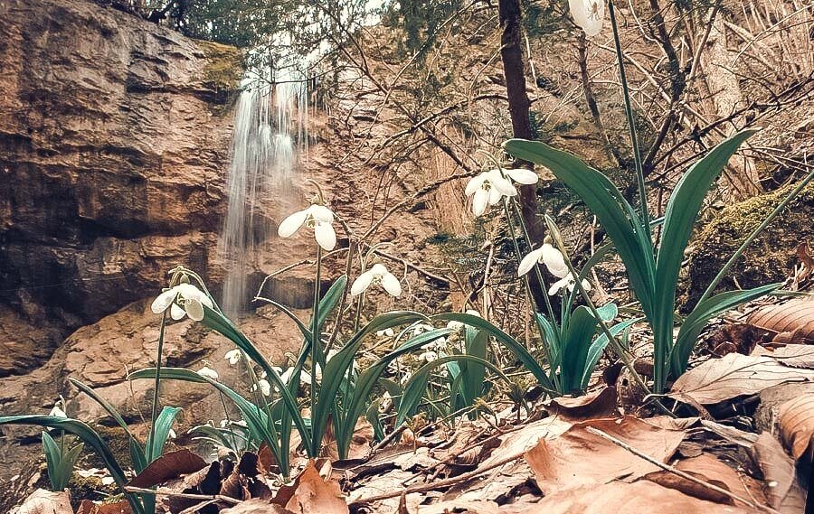 Суаткан не идет в сравнение с известными водопадами Джур-Джур и Учан-Су ни масштабностью, ни полноводностью, ни величием. Но привлекателен он более других – больше некой загадочностью, просто витающей над ним, создающей какой-то ореол непреодолимой тайны.Хотя никакой загадки на самом деле этот очаровательный водный поток в себе не таит, а вся его таинственность кроется лишь в местонахождении. Затерянный в дебрях предгорий Бельбекской долины, известной живописными, запоминающимися пейзажами, он превратился едва ли не в миф