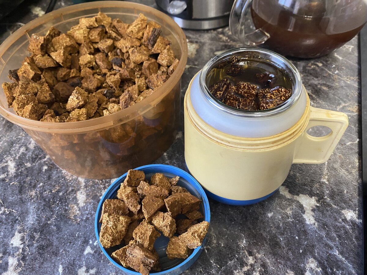 Настой из чаги. Фото автора