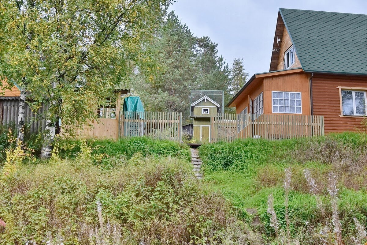 Медвежьегорск место съемок фильма любовь и голуби