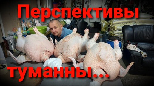 Горячие блюда из индейки - рецепты