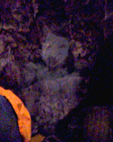 Реальное фото привидения