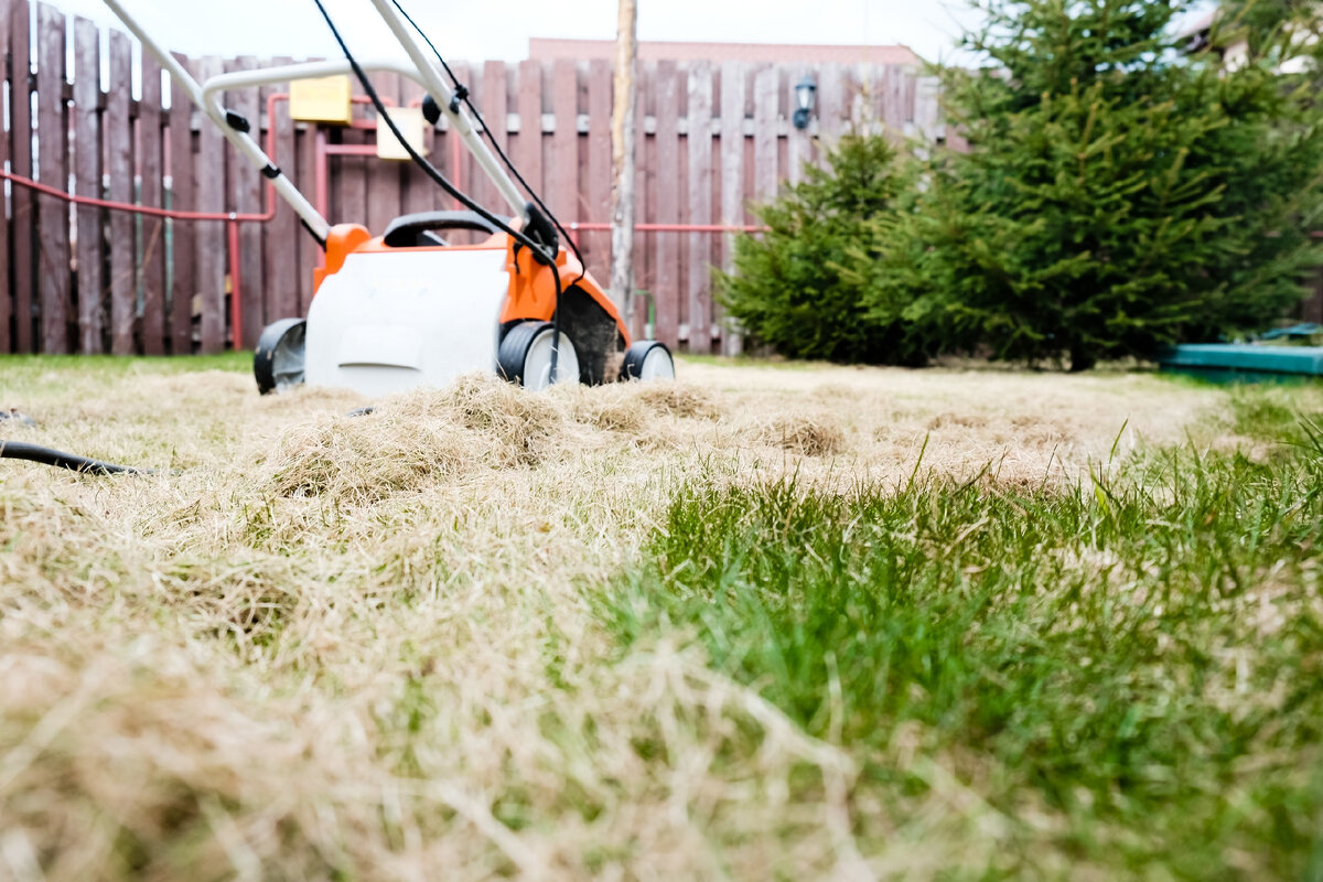 Скарификация газона СПб