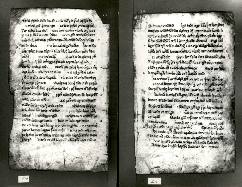 Hauksbók AM 675 4to