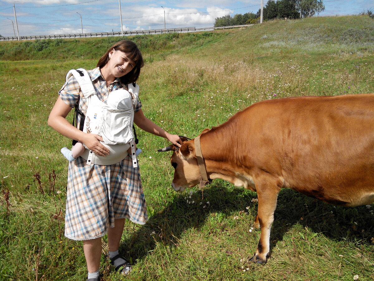 с Джерсийской коровой (не моя)