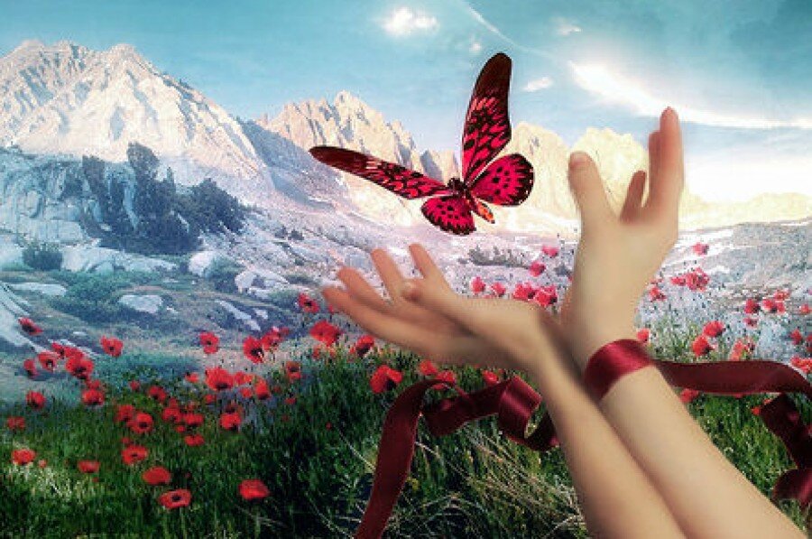 Картинка из источников Яндекса.