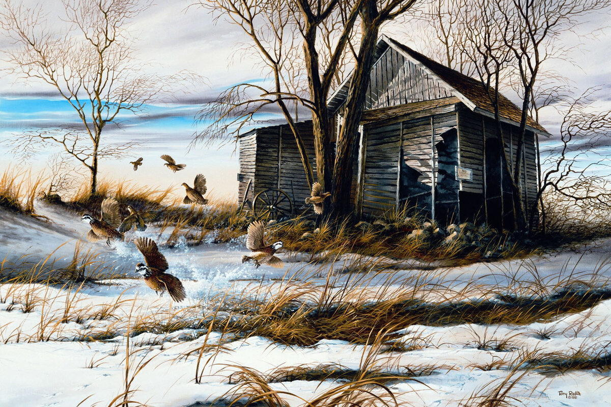    (Terry Avon Redlin).  