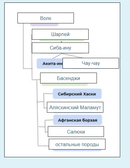 Вырезка из отчетного теста