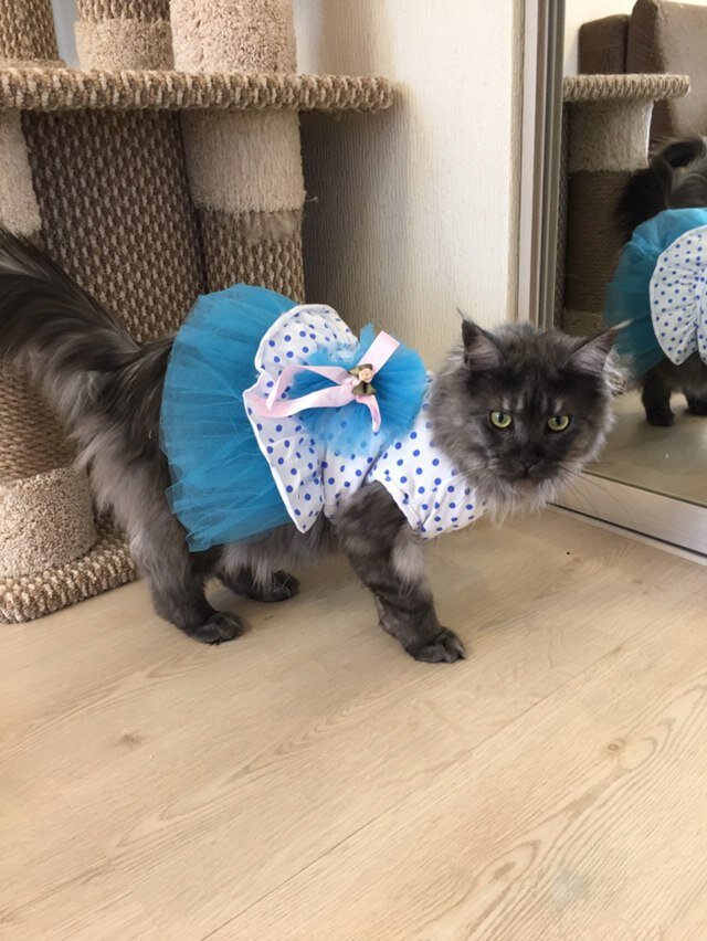 Фото из личного архива.