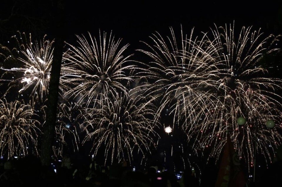     Жителей Москвы просят не запускать фейерверки на природных территориях Ксения Высотина