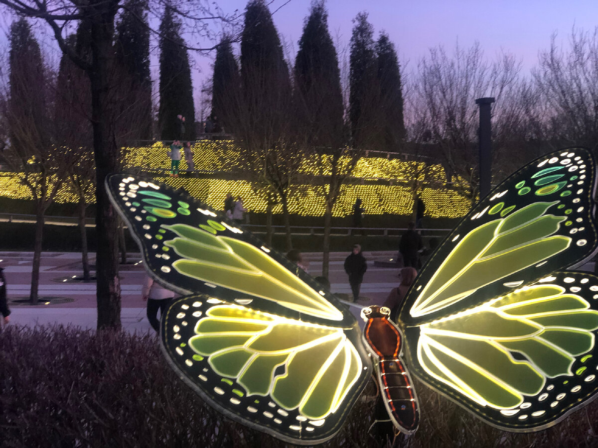 Парк Галицкого, город Краснодар.